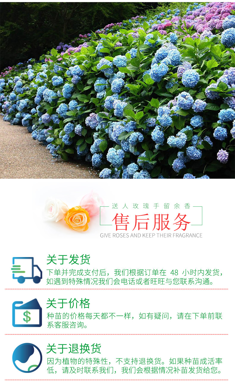 花卉种植呈贡,云南呈贡花卉种植基地联系方式