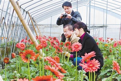 龙岩花卉地摊,龙岩花卉地摊电话