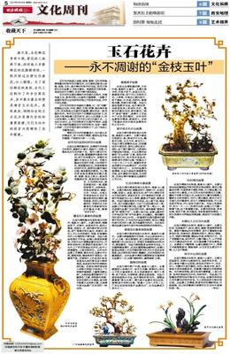 花卉报稿费,中国花卉报怎么订