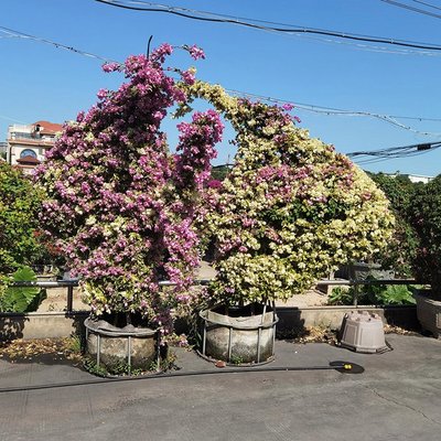 花卉专业铁架,花艺铁架子