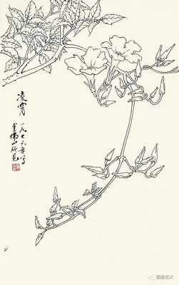 白描花卉结构,白描花卉构图